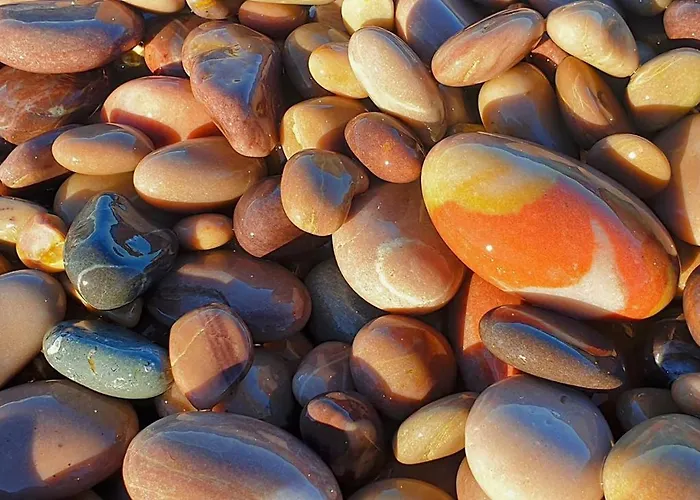 I Tanabru شقة